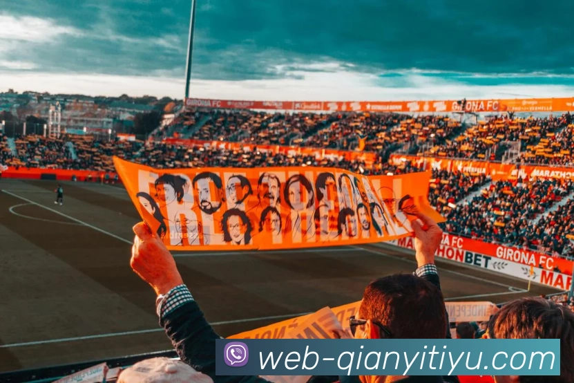 App Interface Preview