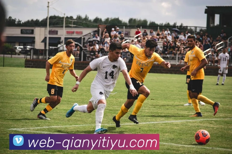 千亿体育APP 封面图